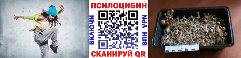 Галлюциногенные грибы мухоморы  blacksprut маркетплейс  Артём 